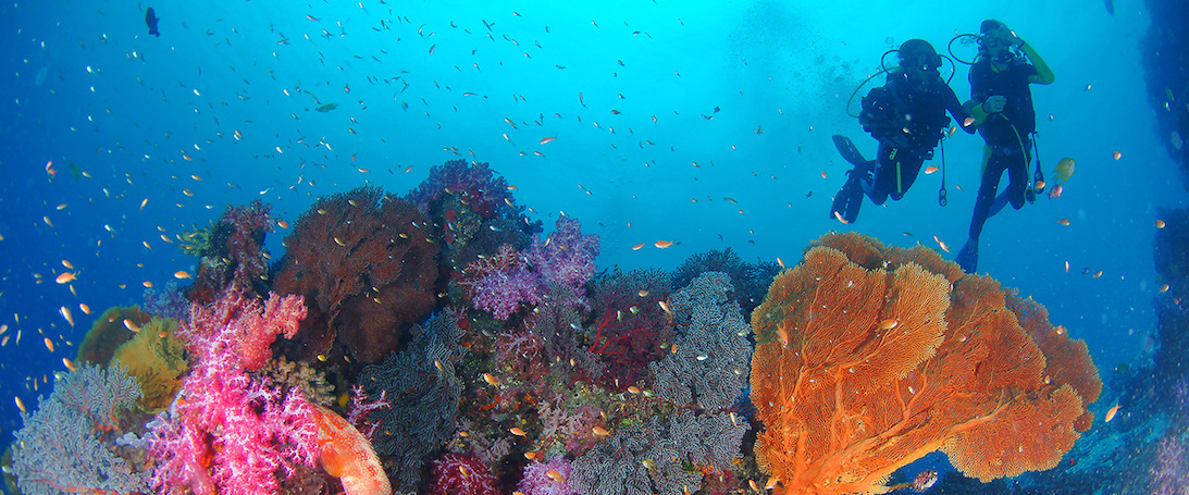 Immersioni isole Similan e Surin